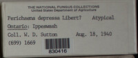 Image Associated With the Occurence